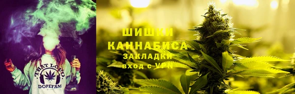сатива Абаза