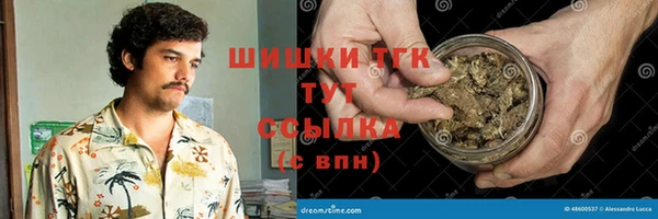 стаф Медногорск