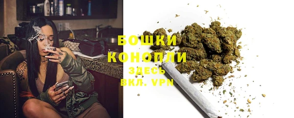крисы Абдулино