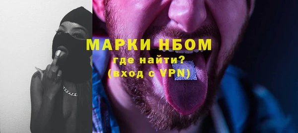 стаф Медногорск