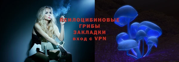 крисы Абдулино