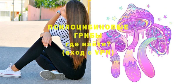 крисы Абдулино