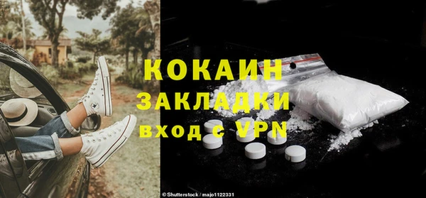 сатива Абаза