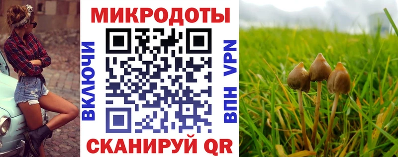 Галлюциногенные грибы Cubensis  купить наркоту  Нижневартовск 